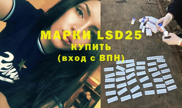 ECSTASY Лагань