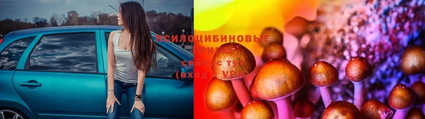 ECSTASY Лагань